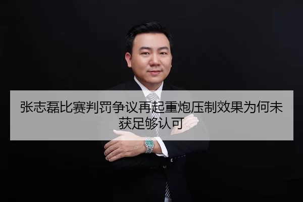 张志磊比赛判罚争议再起重炮压制效果为何未获足够认可
