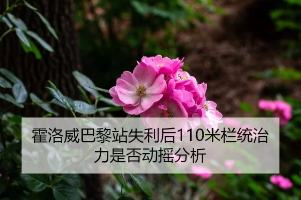 霍洛威巴黎站失利后110米栏统治力是否动摇分析