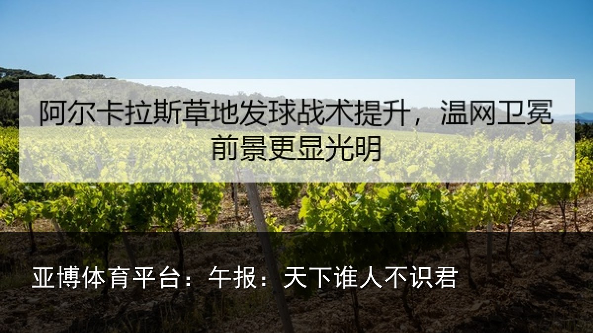亚博体育平台：午报：天下谁人不识君