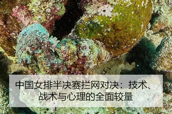 中国女排半决赛拦网对决：技术、战术与心理的全面较量