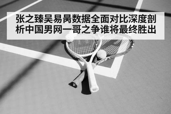 张之臻吴易昺数据全面对比深度剖析中国男网一哥之争谁将最终胜出